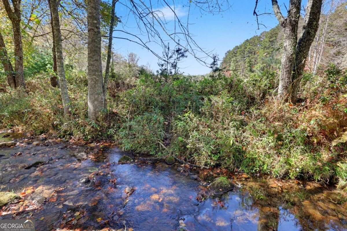 1110 Rocky Top Road Blairsville - Photo 71