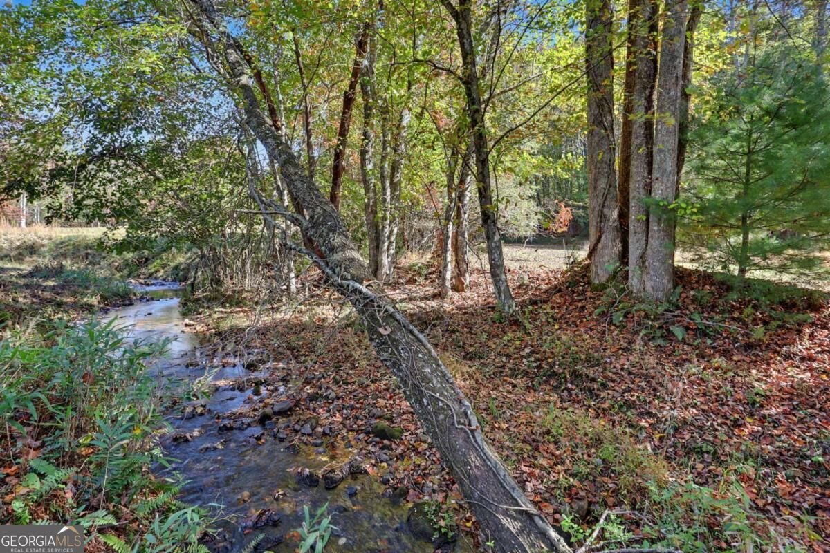 1110 Rocky Top Road Blairsville - Photo 72