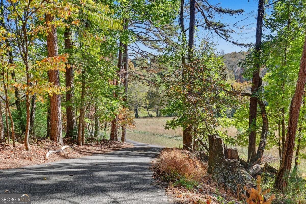 1110 Rocky Top Road Blairsville - Photo 75