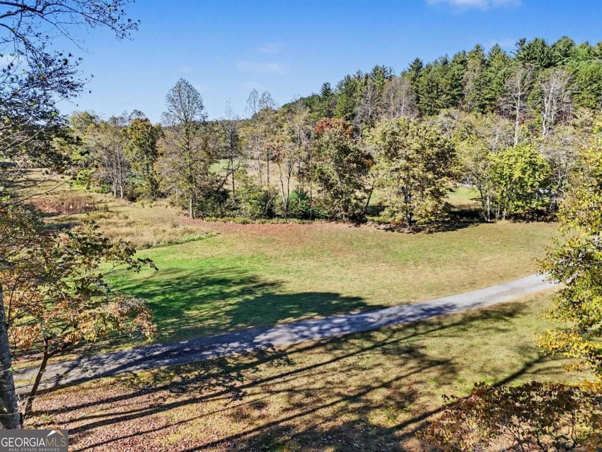 1110 Rocky Top Road Blairsville - Photo 81