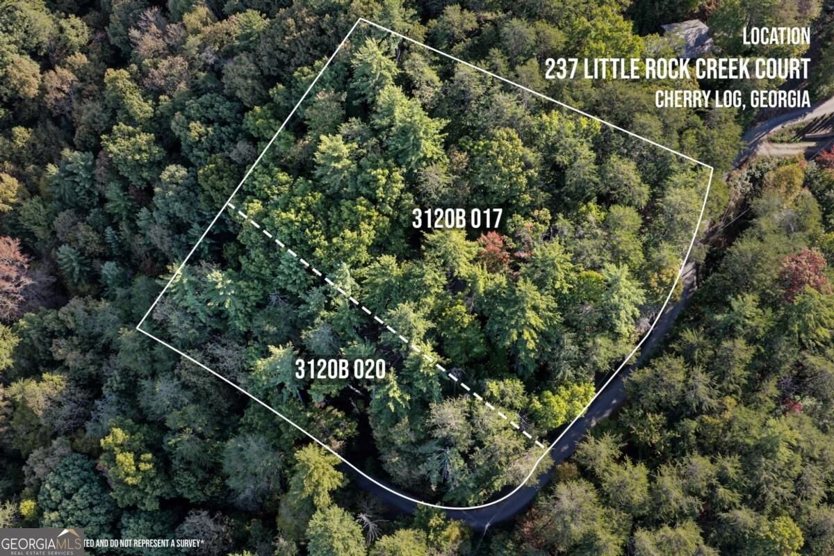 237 Little Rock Creek Court Cherry Log - Photo 13
