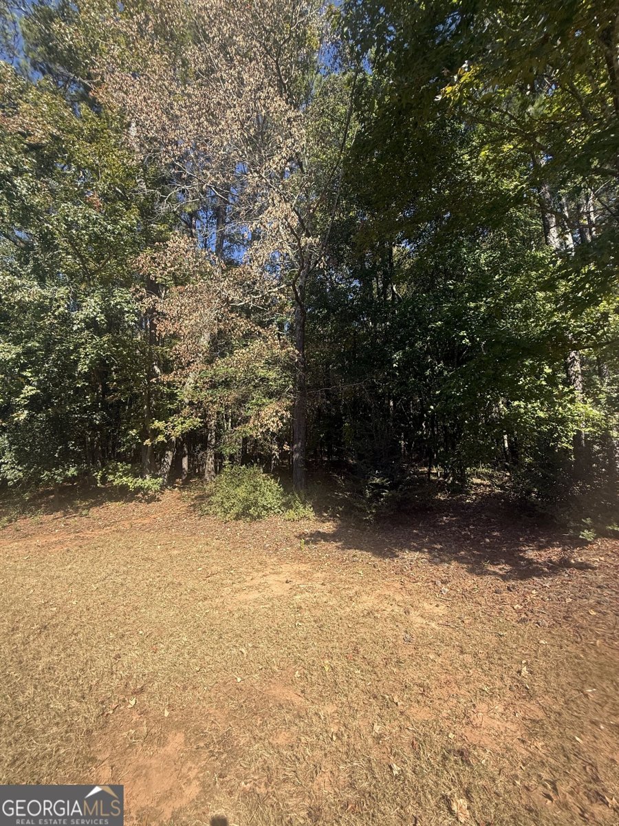 3032 Camille Lane McDonough - Photo 21