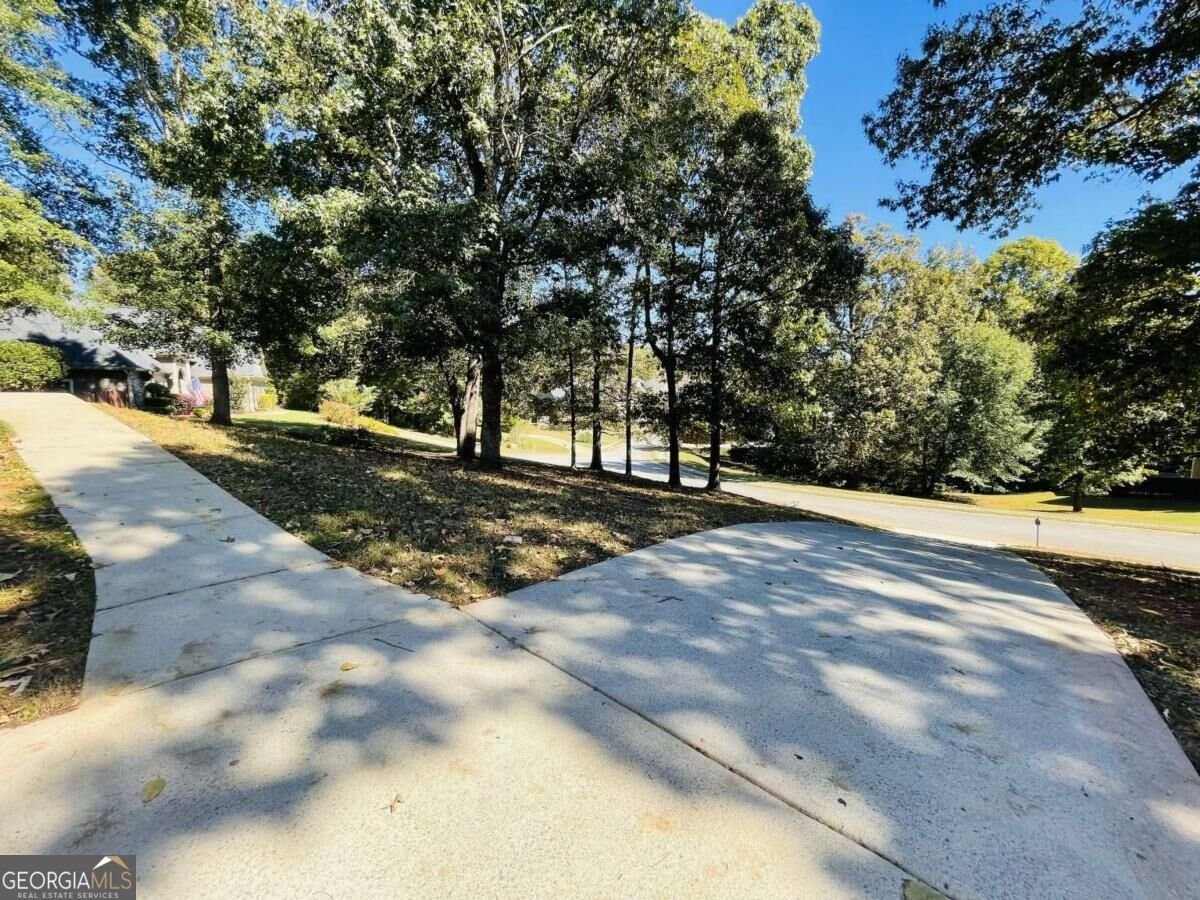 8260 Mossybrook Lane Douglasville - Photo 25