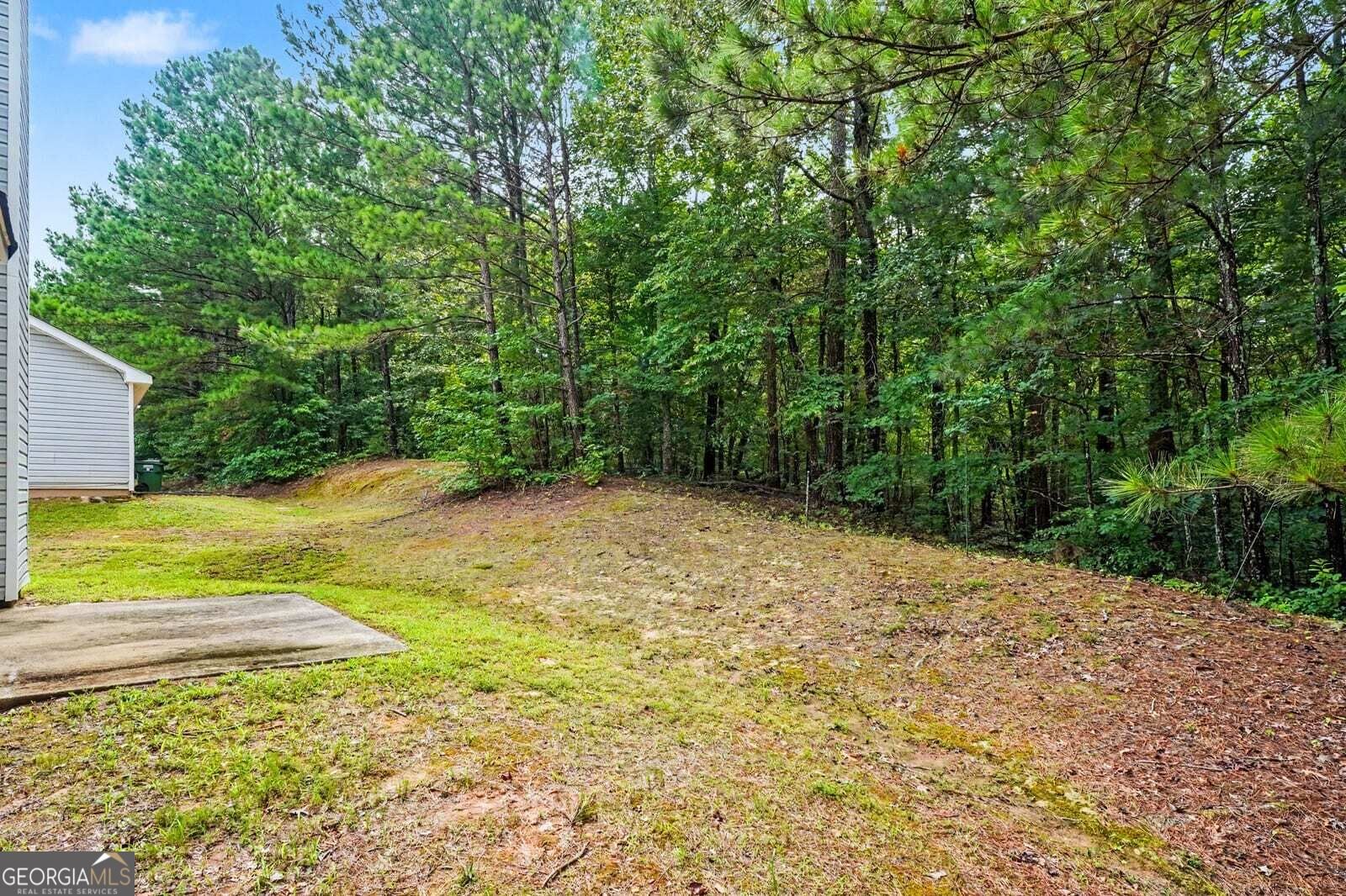 4390 Big Horn Pass Douglasville - Photo 27