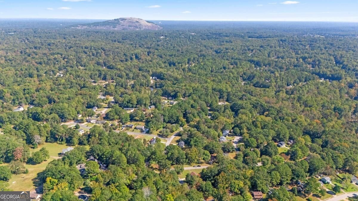 676 Tarkington Road Stone Mountain - Photo 36