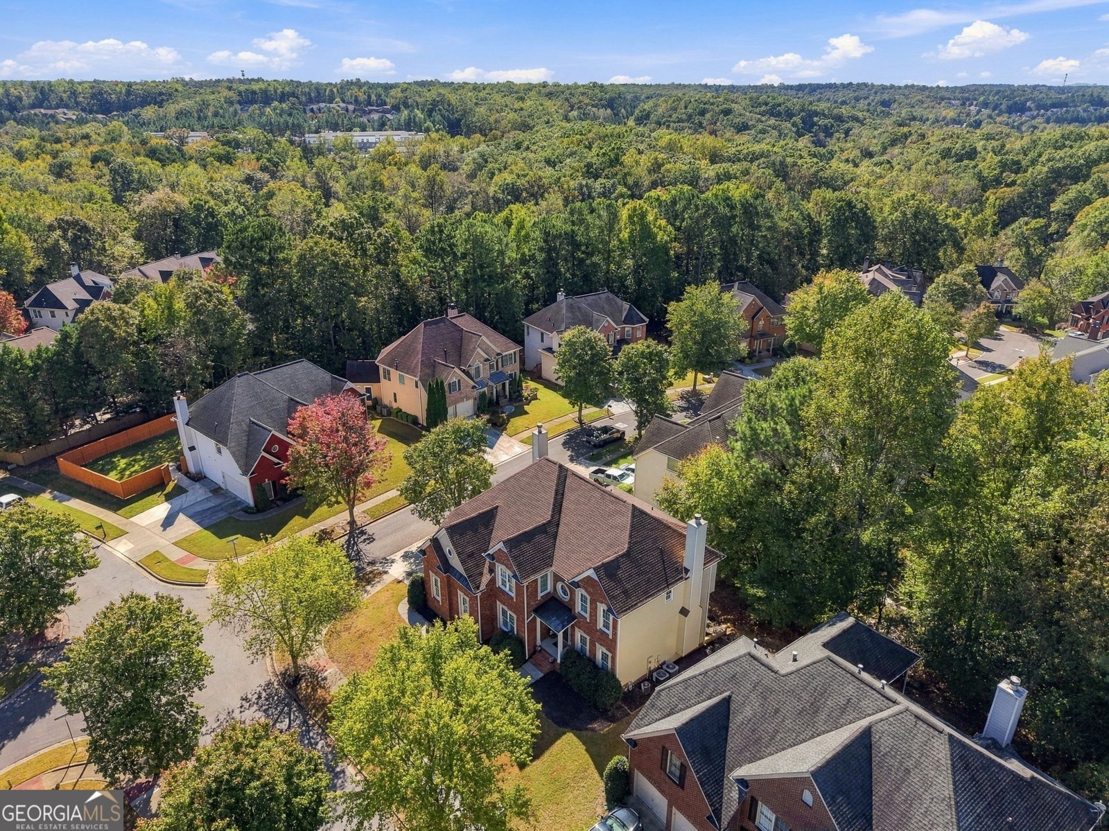 3856 Creekview Ridge Drive Buford - Photo 77