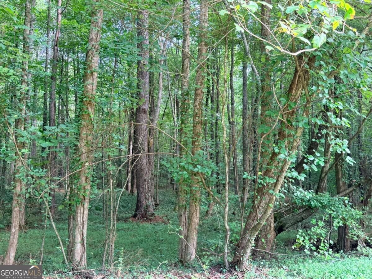 LOT 14 Pettit Road Talking Rock - Photo 7