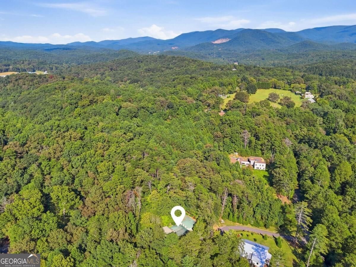 210 Cornett Drive Ellijay - Photo 64