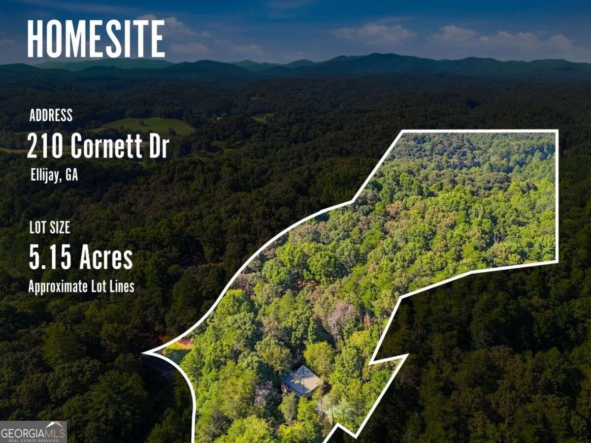 210 Cornett Drive Ellijay - Photo 65
