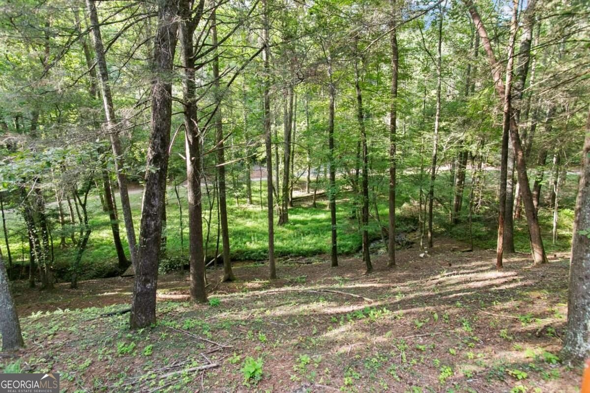 546 Stillhouse Creek Drive Ellijay - Photo 25