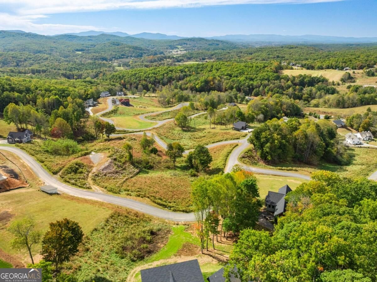 265 Big Valley Drive Morganton - Photo 59