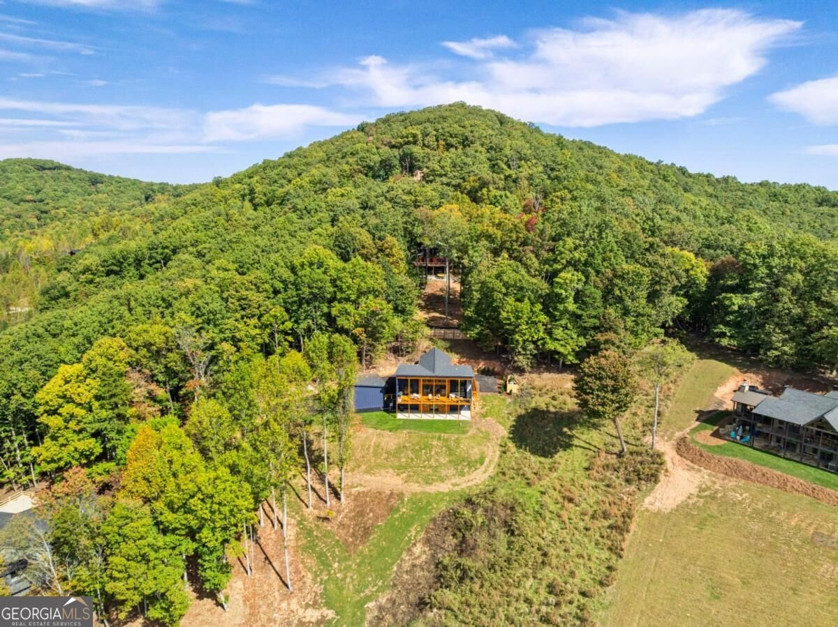 265 Big Valley Drive Morganton - Photo 60