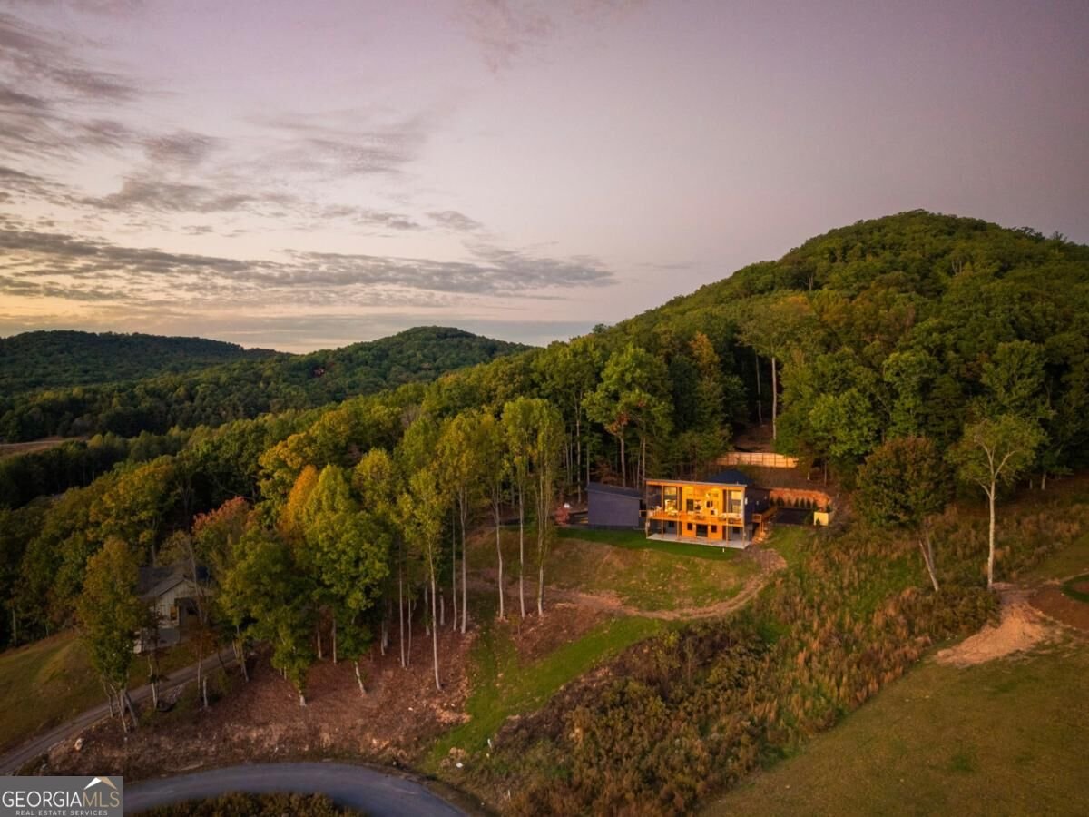 265 Big Valley Drive Morganton - Photo 61