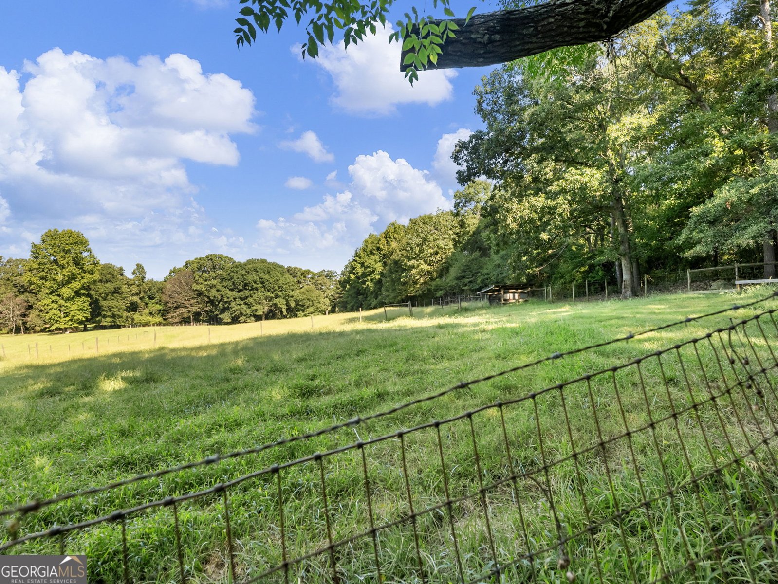 706 Deadwyler Road Maysville - Photo 48