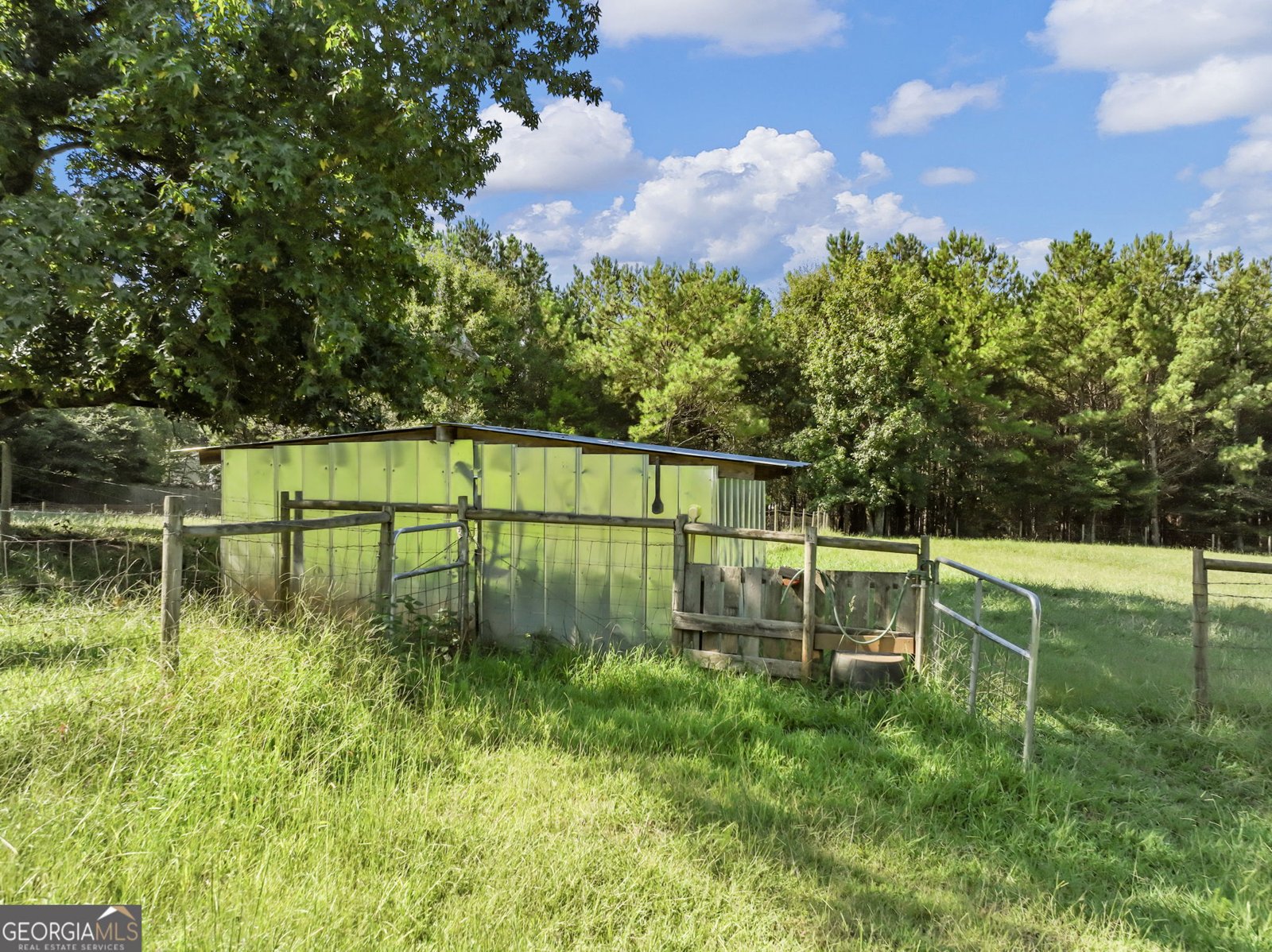 706 Deadwyler Road Maysville - Photo 66