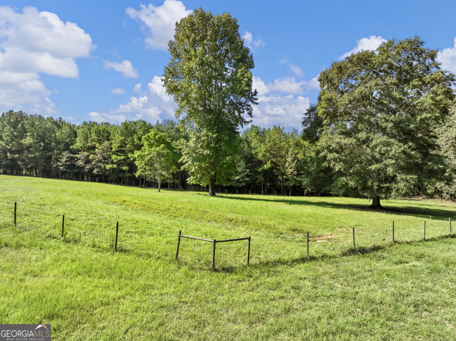 706 Deadwyler Road Maysville - Photo 78
