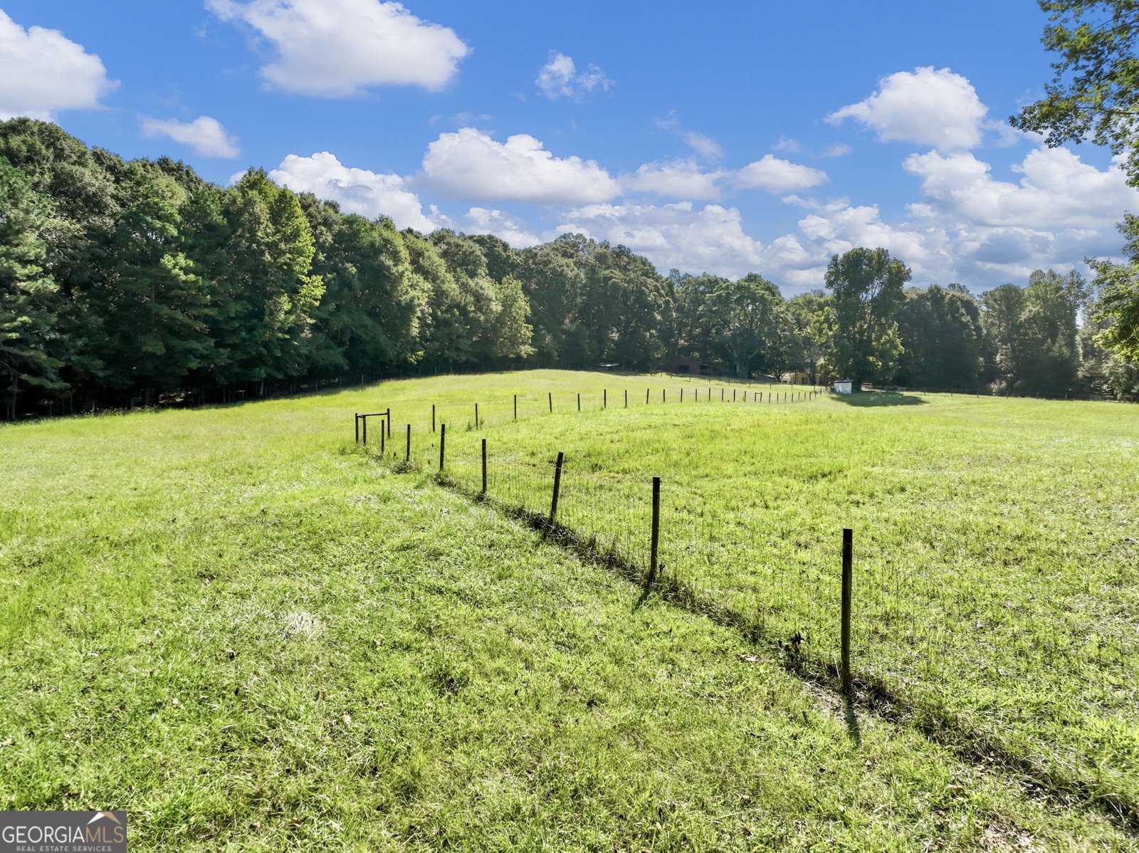 706 Deadwyler Road Maysville - Photo 80