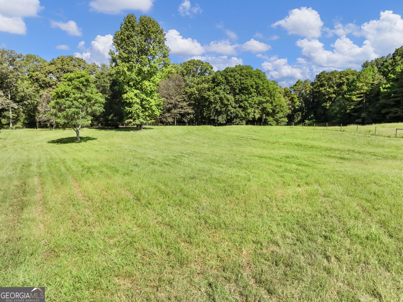 706 Deadwyler Road Maysville - Photo 82