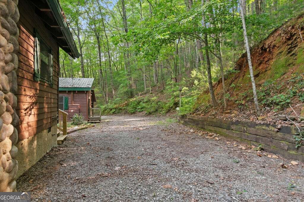 1274 Little Rock Creek Road Cherry Log - Photo 39