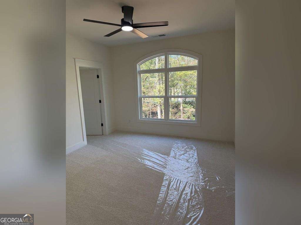 832 Walnut River Trail Hoschton - Photo 38