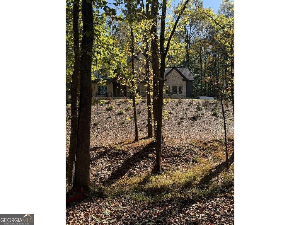 832 Walnut River Trail Hoschton - Photo 8