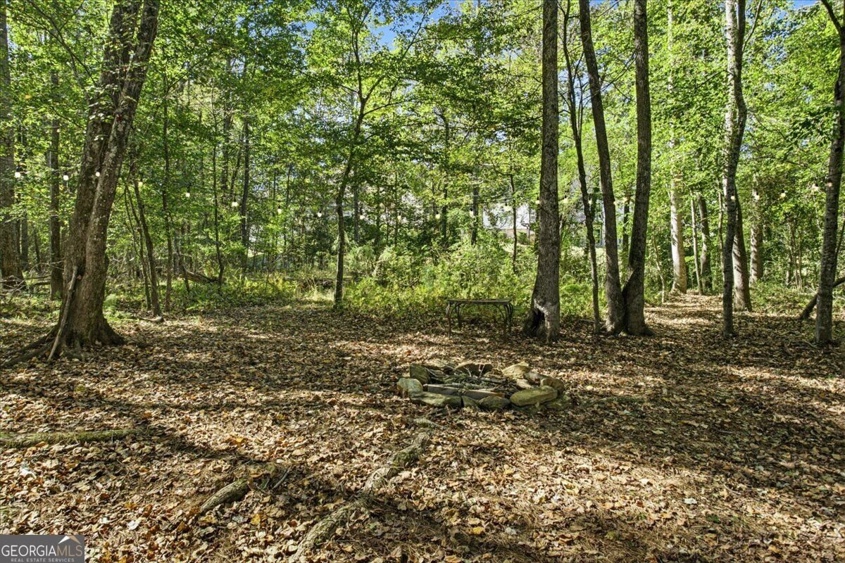 4027 Andover Circle McDonough - Photo 53