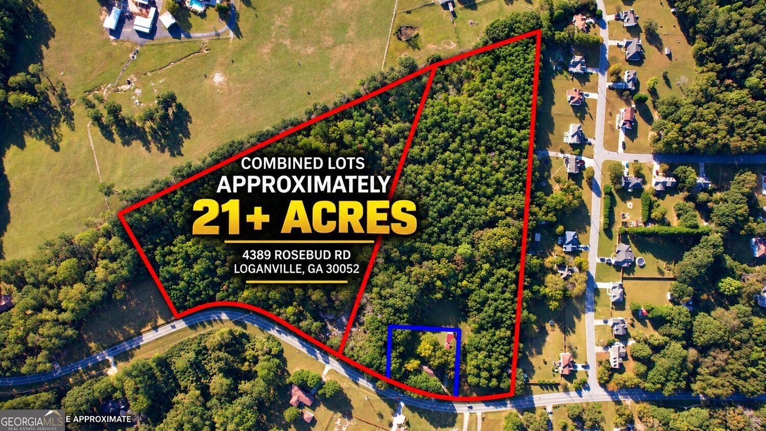 4389 Rosebud Road Loganville - main photo