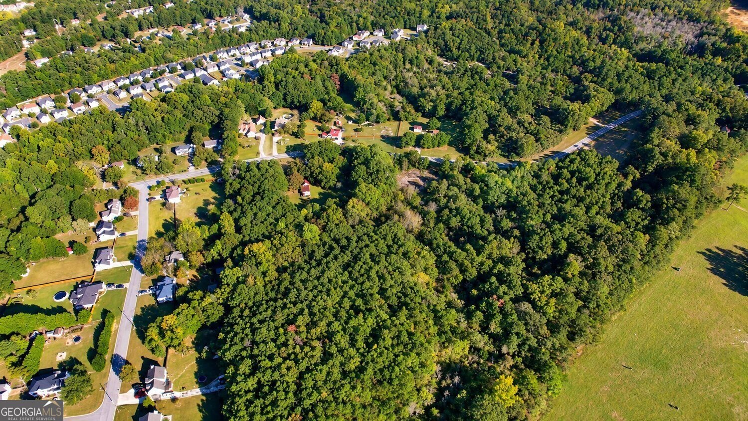 4389 Rosebud Road Loganville - Photo 10