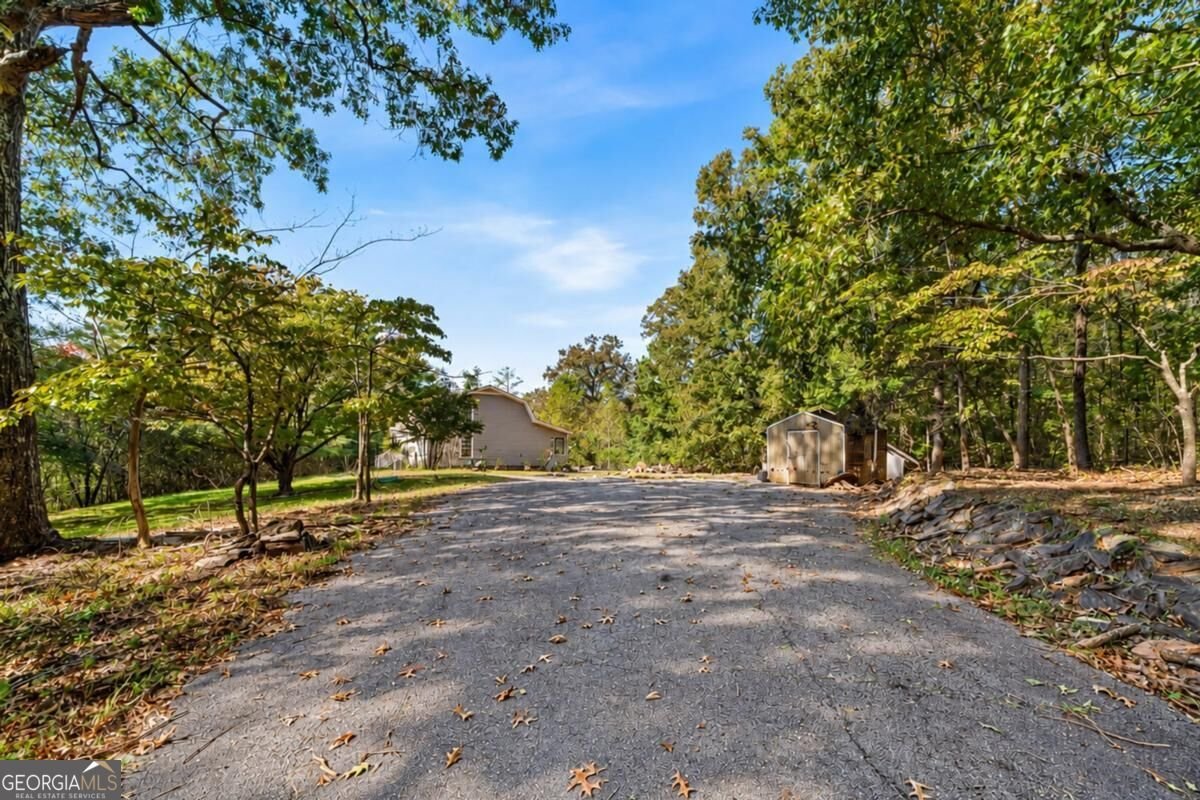 432 Mountain Creek Road Bowdon - Photo 20