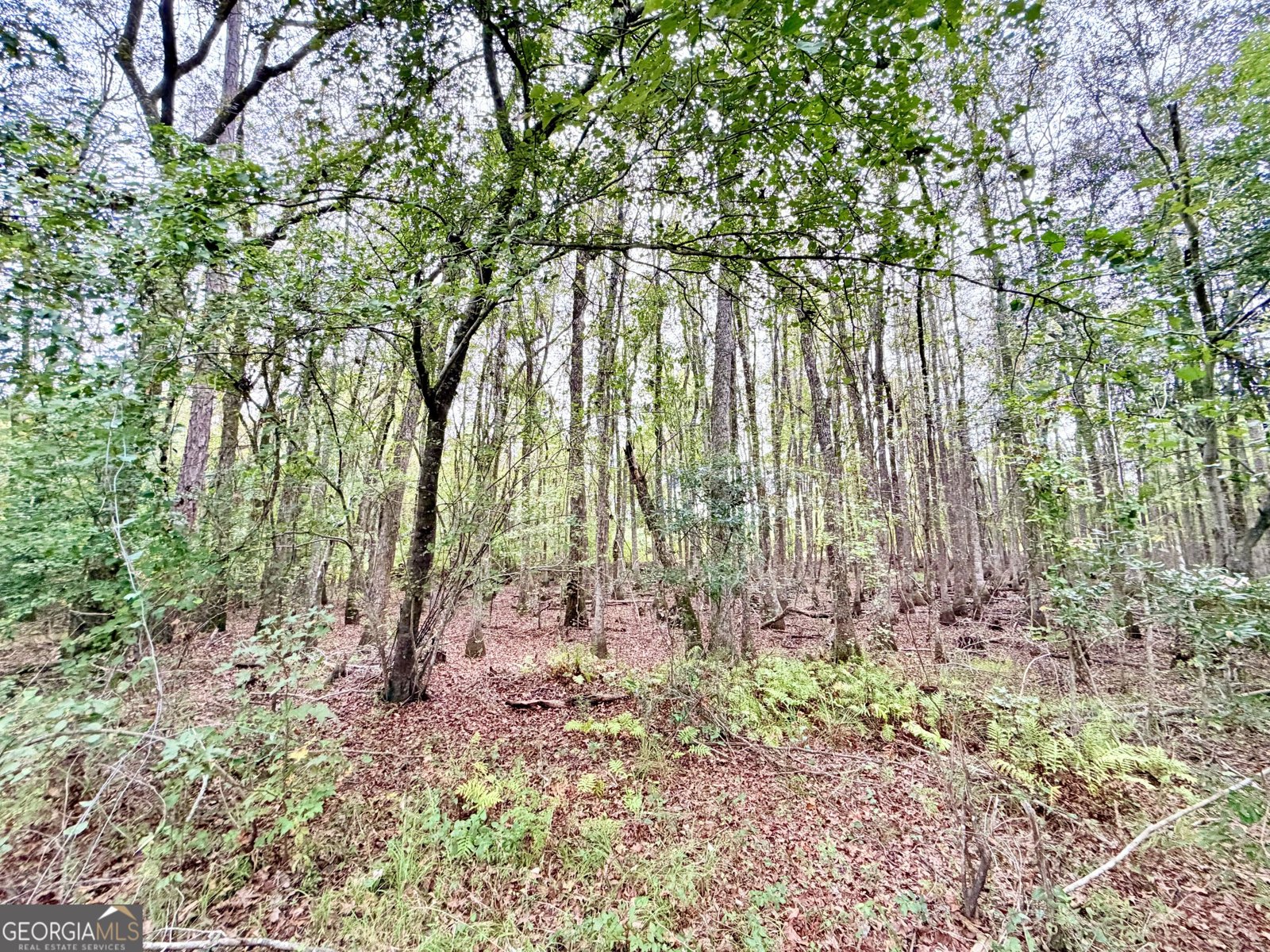 2435 Ga Highway 46 Dublin - Photo 40