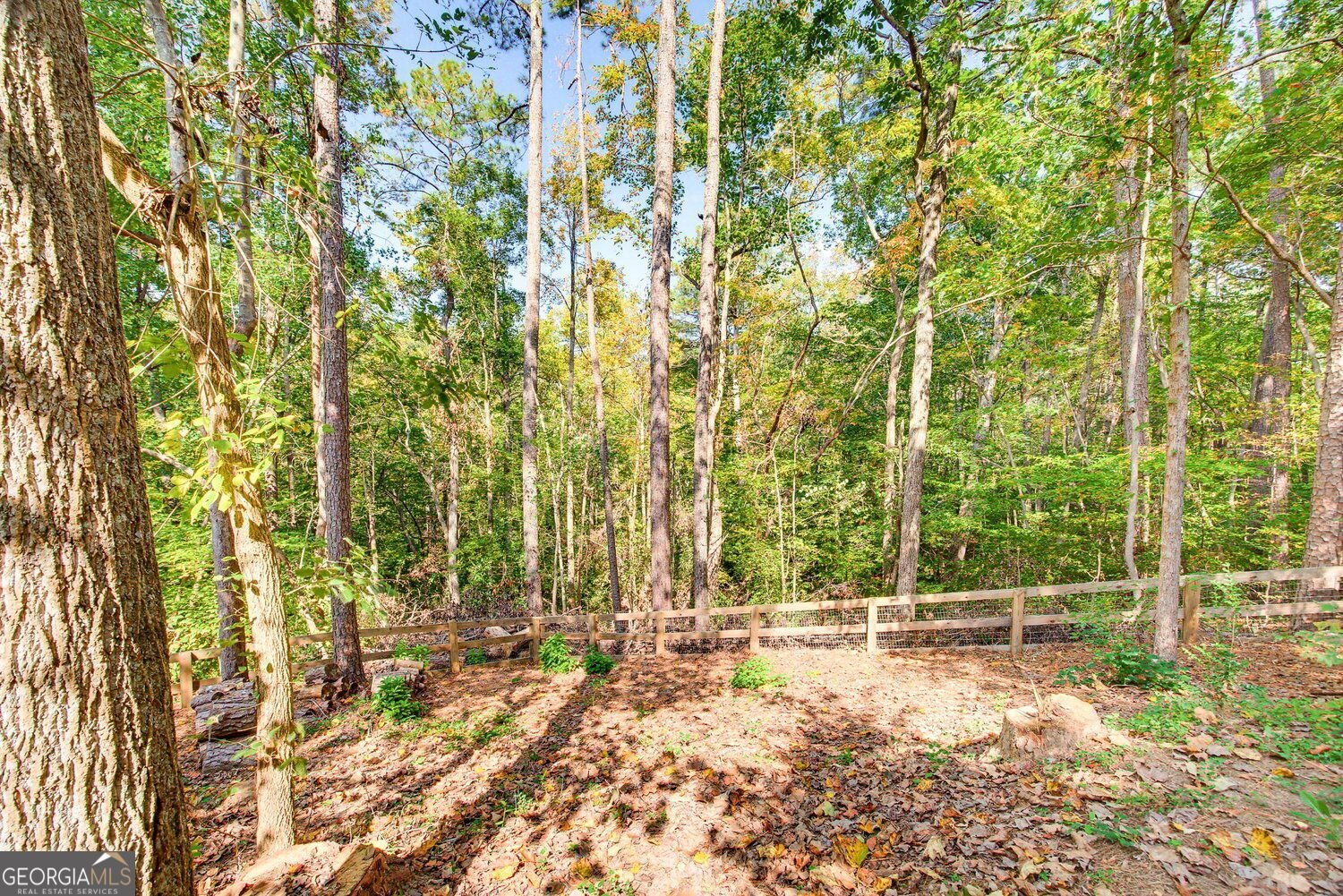 2055 Laurel Cove Ball Ground - Photo 26