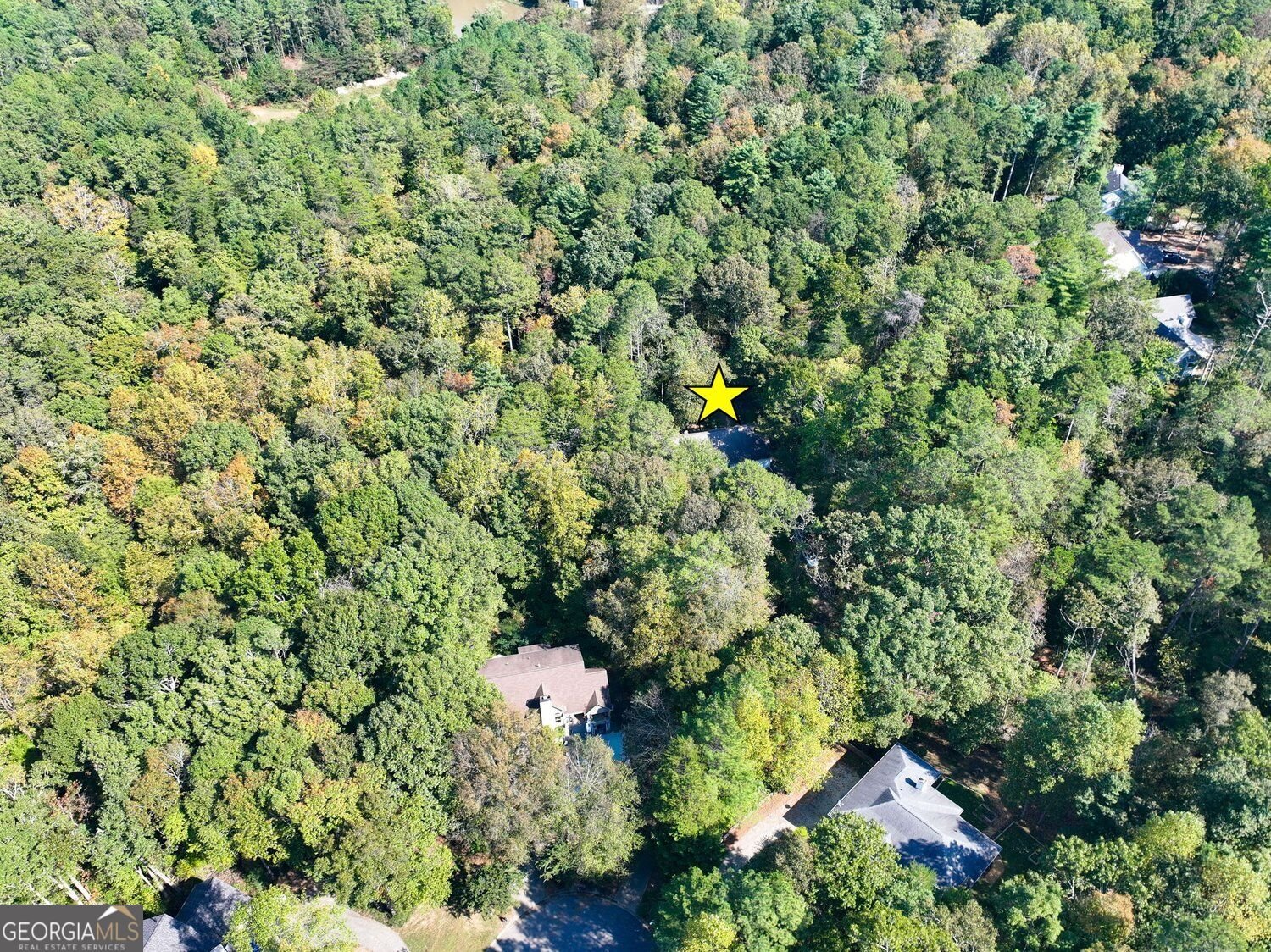 2055 Laurel Cove Ball Ground - Photo 28