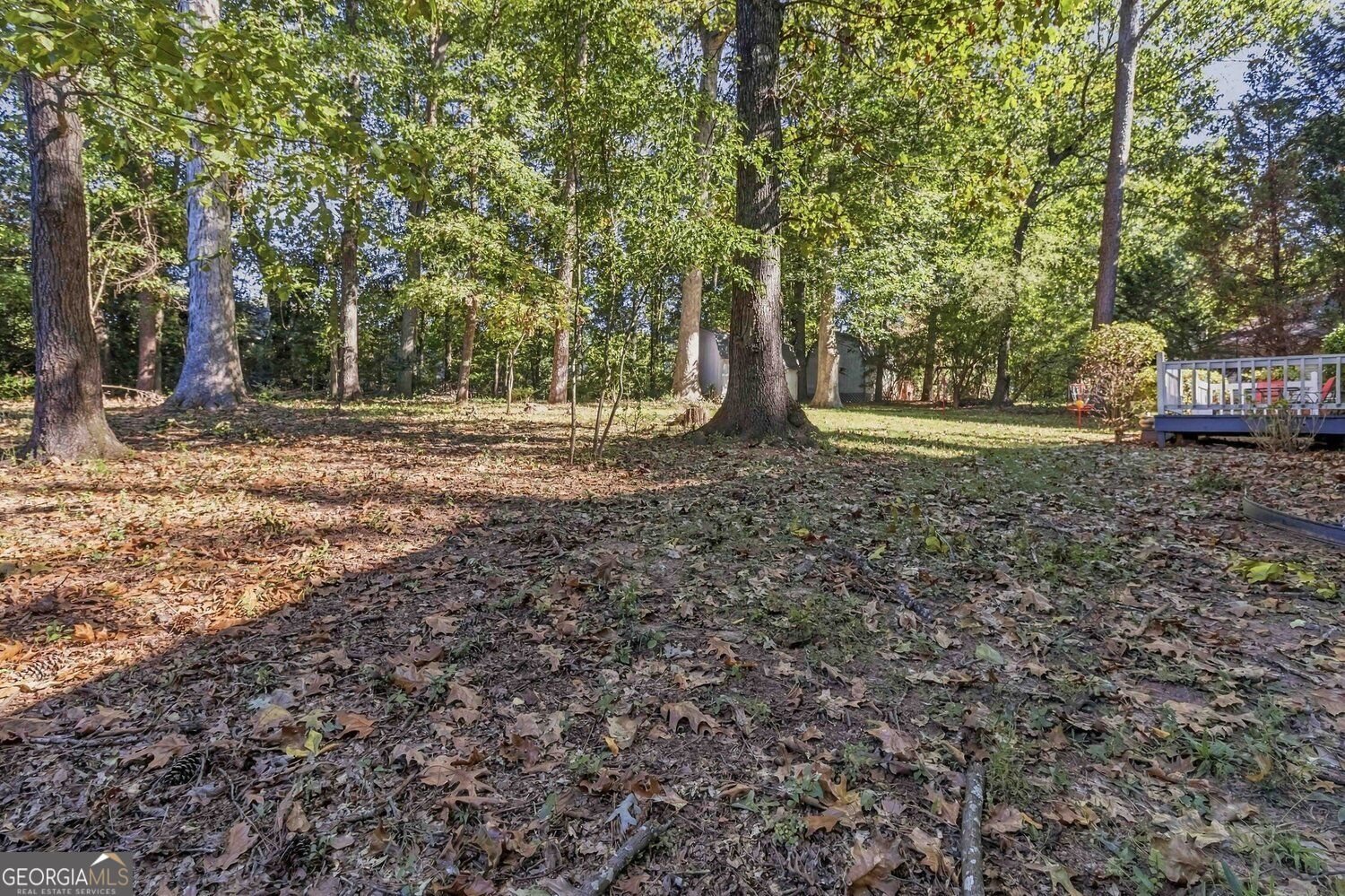 1956 Lou Drive Conyers - Photo 30