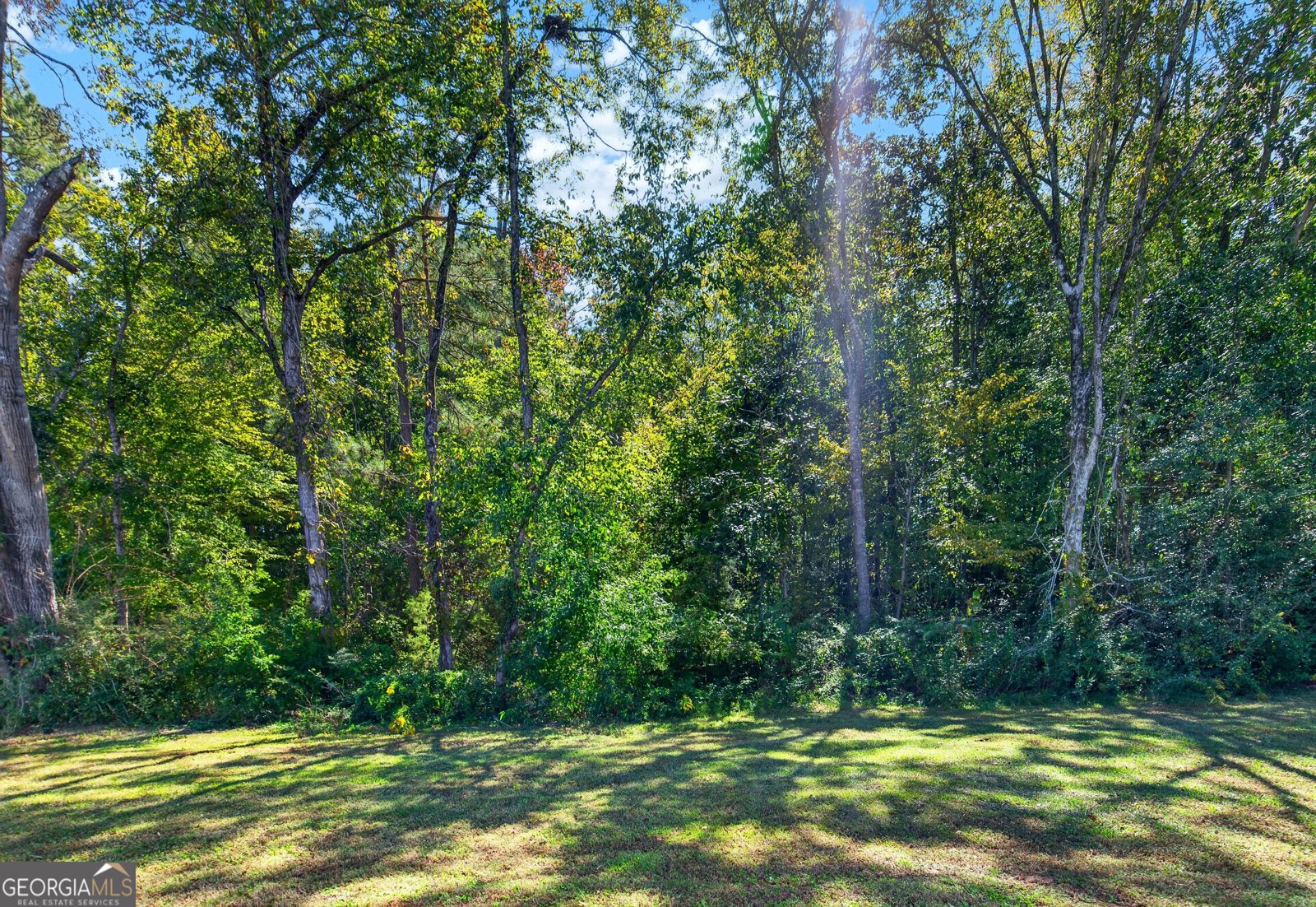 1505 Wisteria Drive West Point - Photo 17