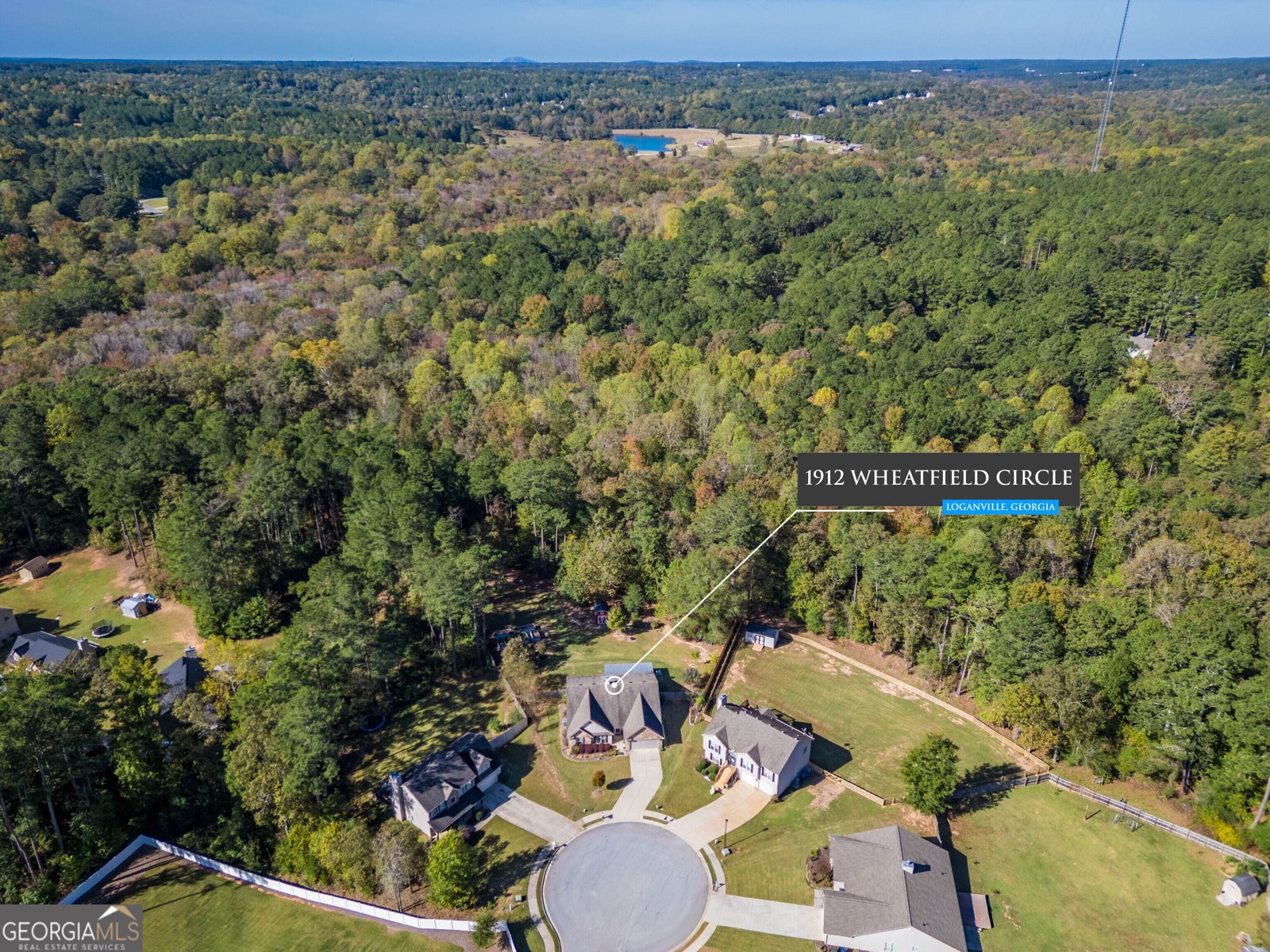 1912 Wheatfield Circle Loganville - Photo 54