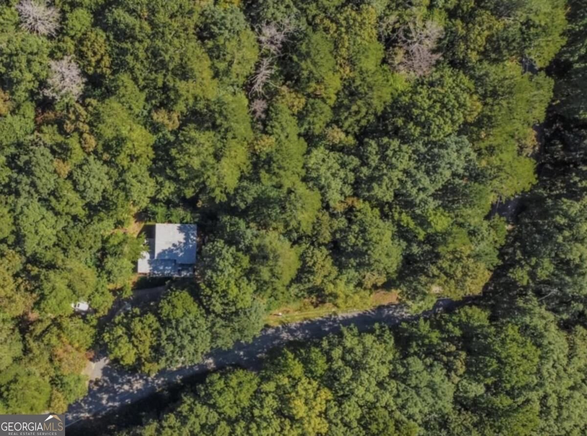 223 Mango Circle Ellijay - Photo 34