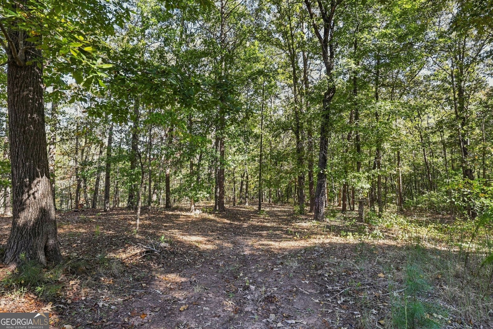436 CHATEAU VILLAGE Drive MARTIN - Photo 45
