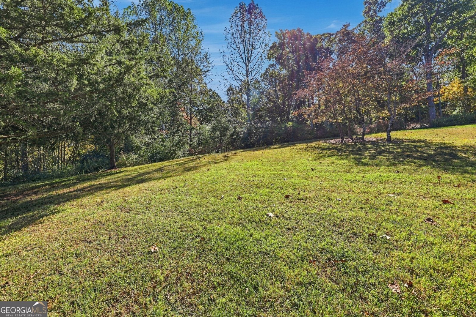 436 CHATEAU VILLAGE Drive MARTIN - Photo 48