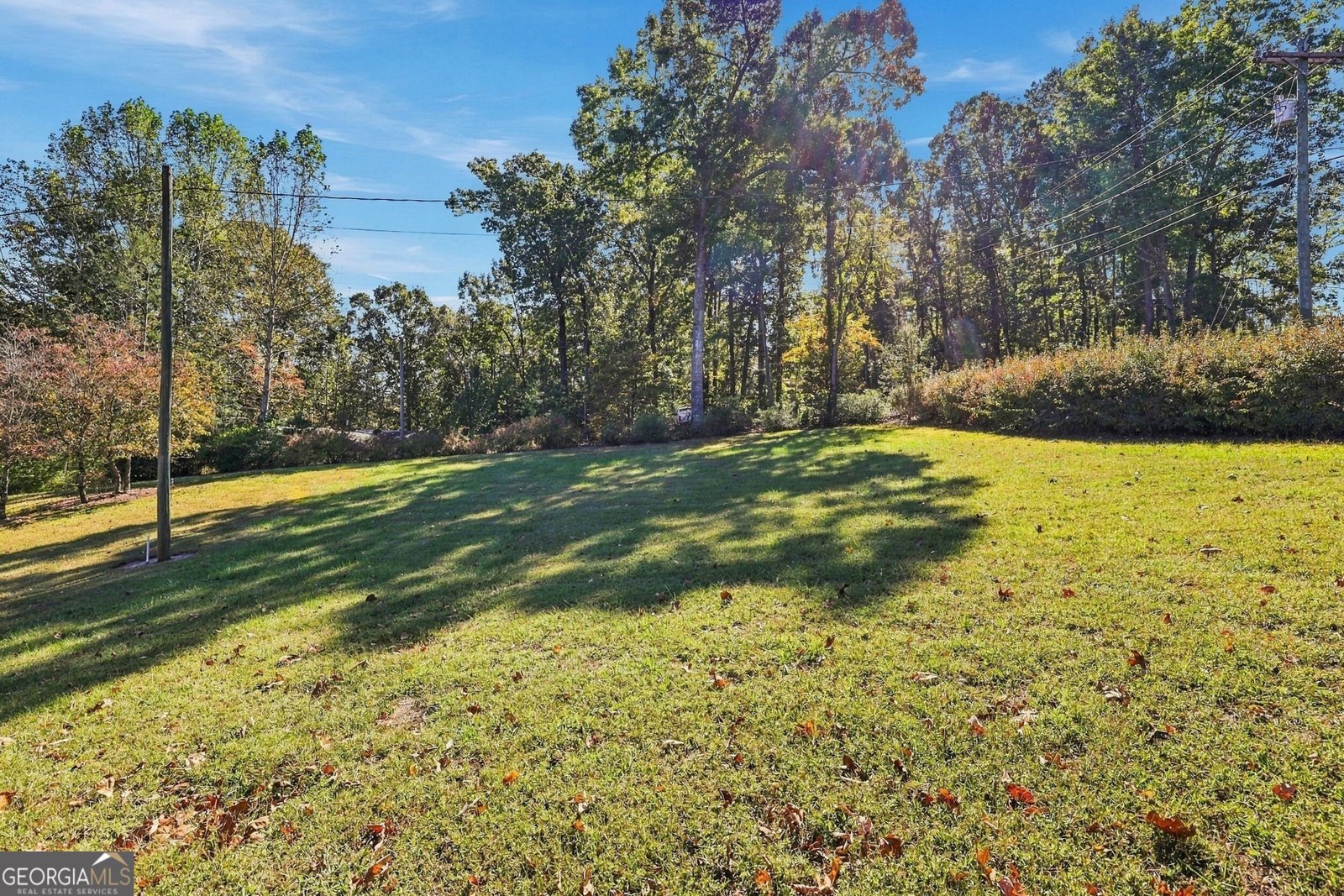 436 CHATEAU VILLAGE Drive MARTIN - Photo 49