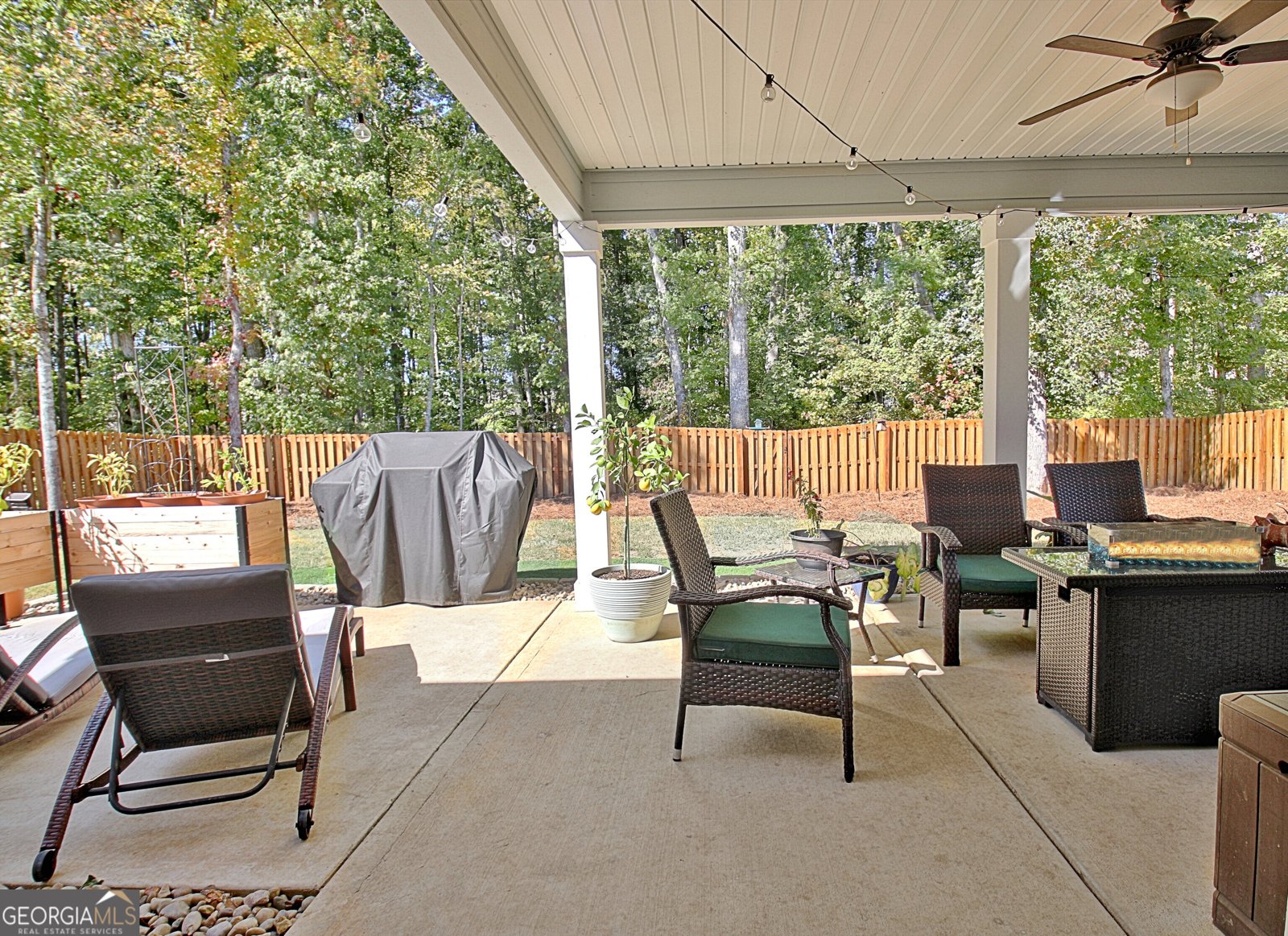 46 Silver Comet Trail Sharpsburg - Photo 12