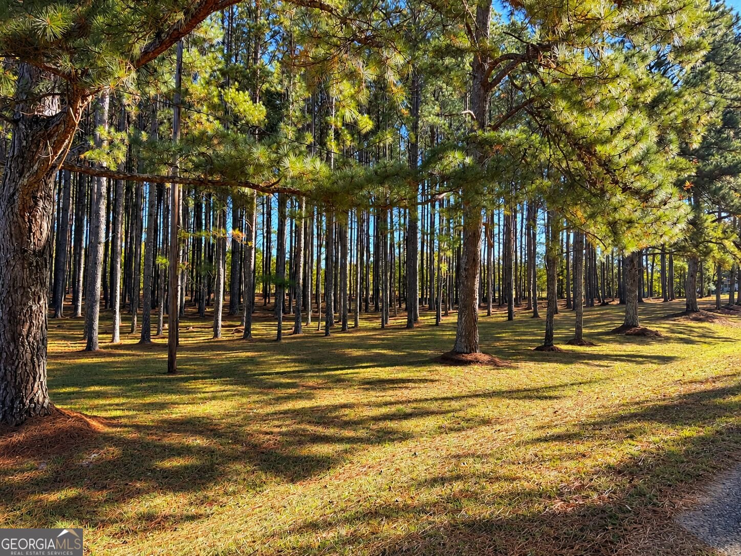 4594 Rush Creek Highway Woodland - Photo 43