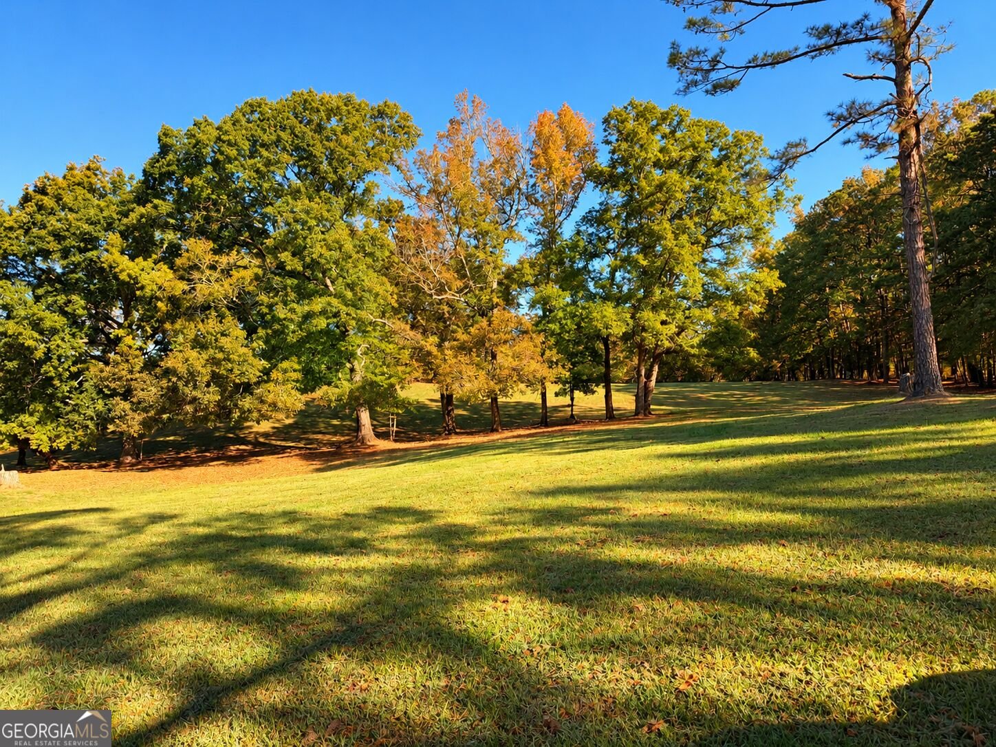 4594 Rush Creek Highway Woodland - Photo 47