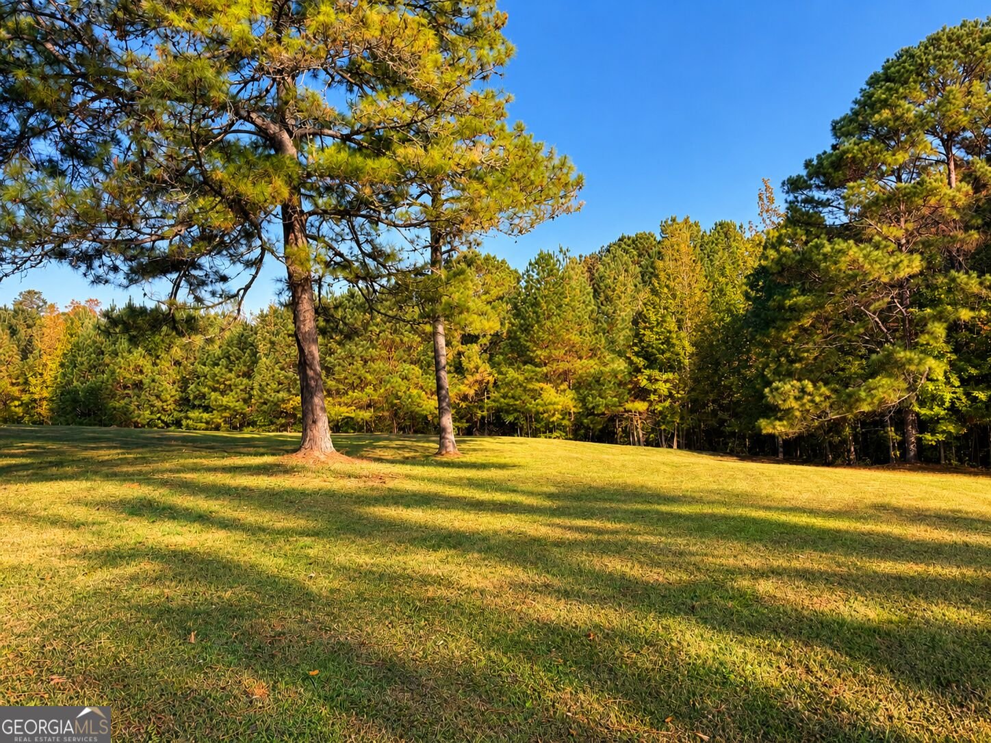 4594 Rush Creek Highway Woodland - Photo 48