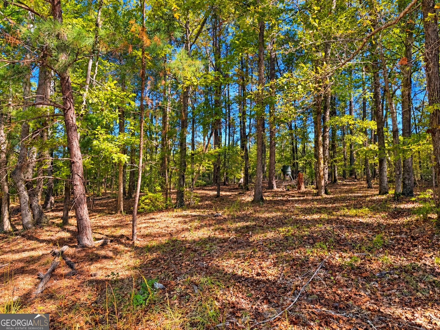 4594 Rush Creek Highway Woodland - Photo 50