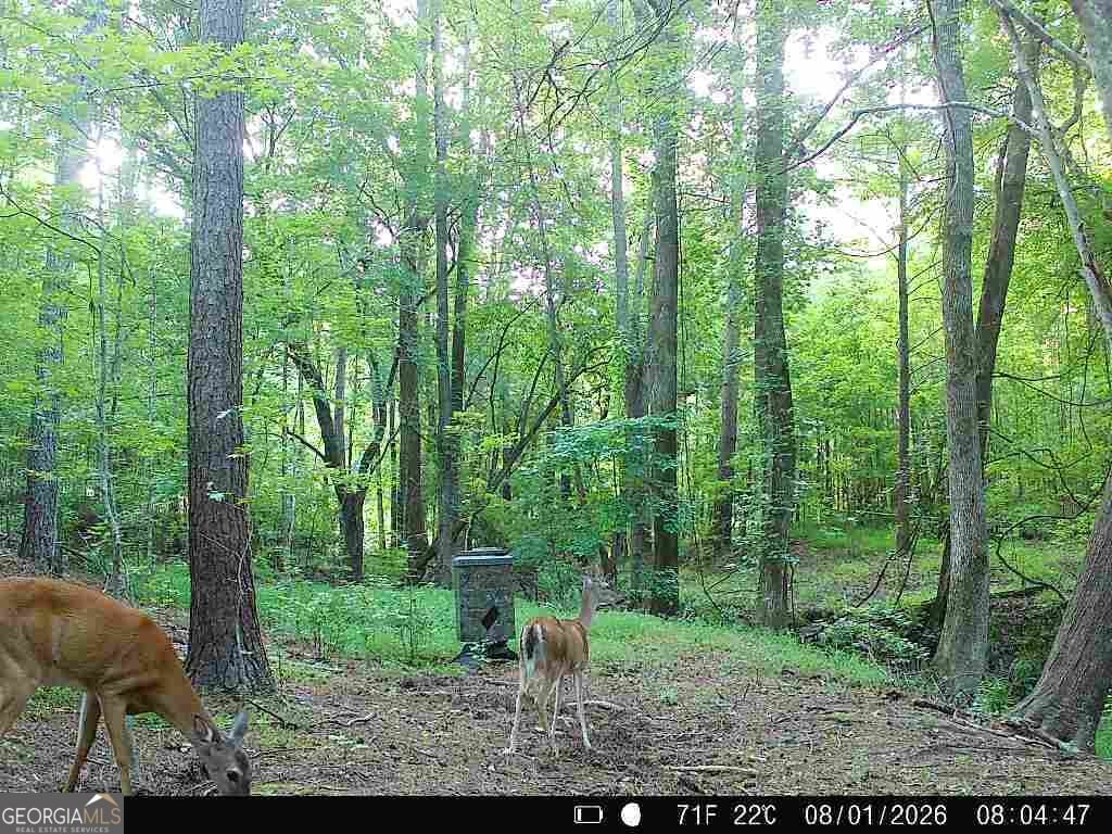 4594 Rush Creek Highway Woodland - Photo 57
