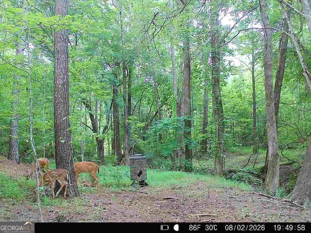 4594 Rush Creek Highway Woodland - Photo 60