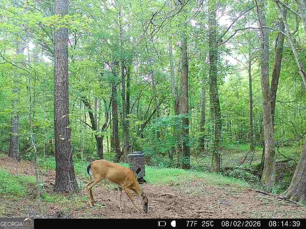 4594 Rush Creek Highway Woodland - Photo 61