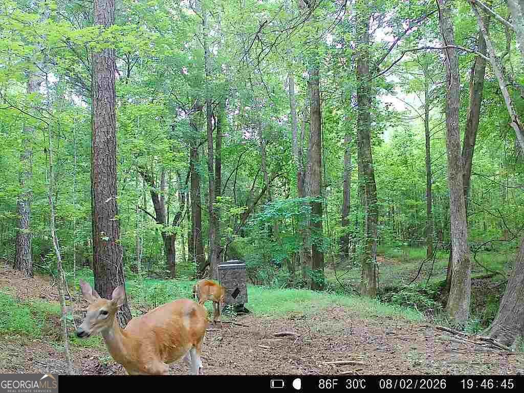 4594 Rush Creek Highway Woodland - Photo 62