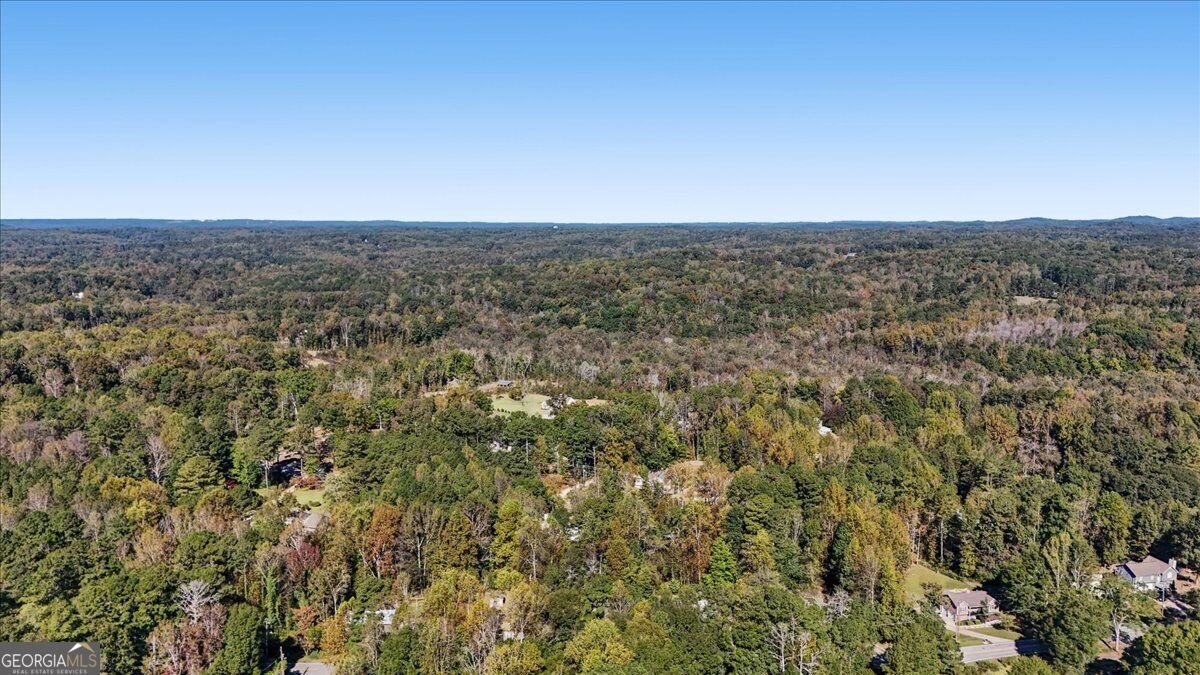 180 Wall Road Hiram - Photo 44