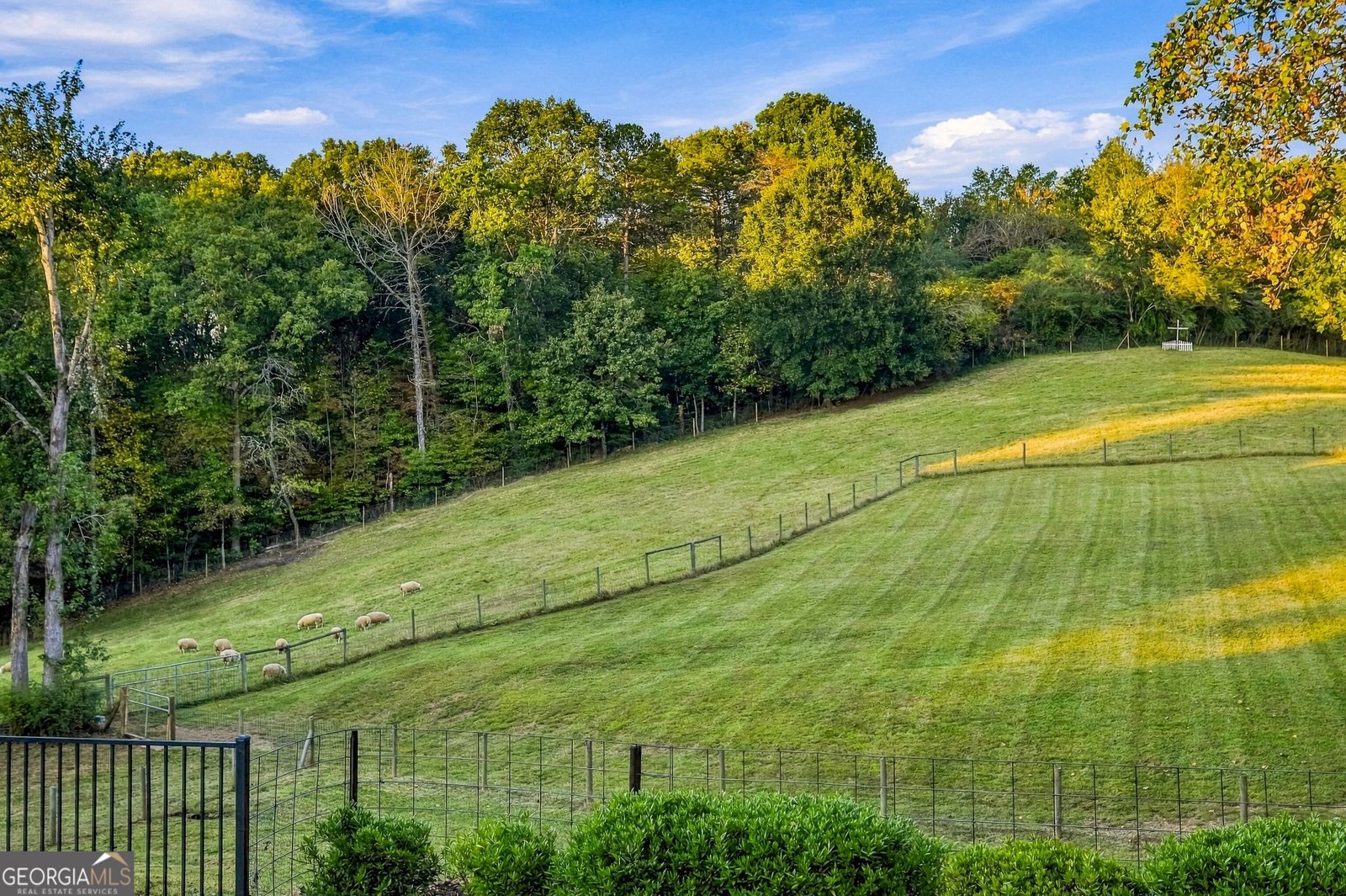 5855 Tony Peck Road Murrayville - Photo 10